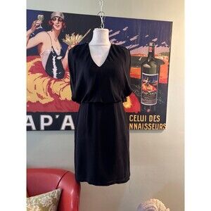 Raoul silk dress Size 6